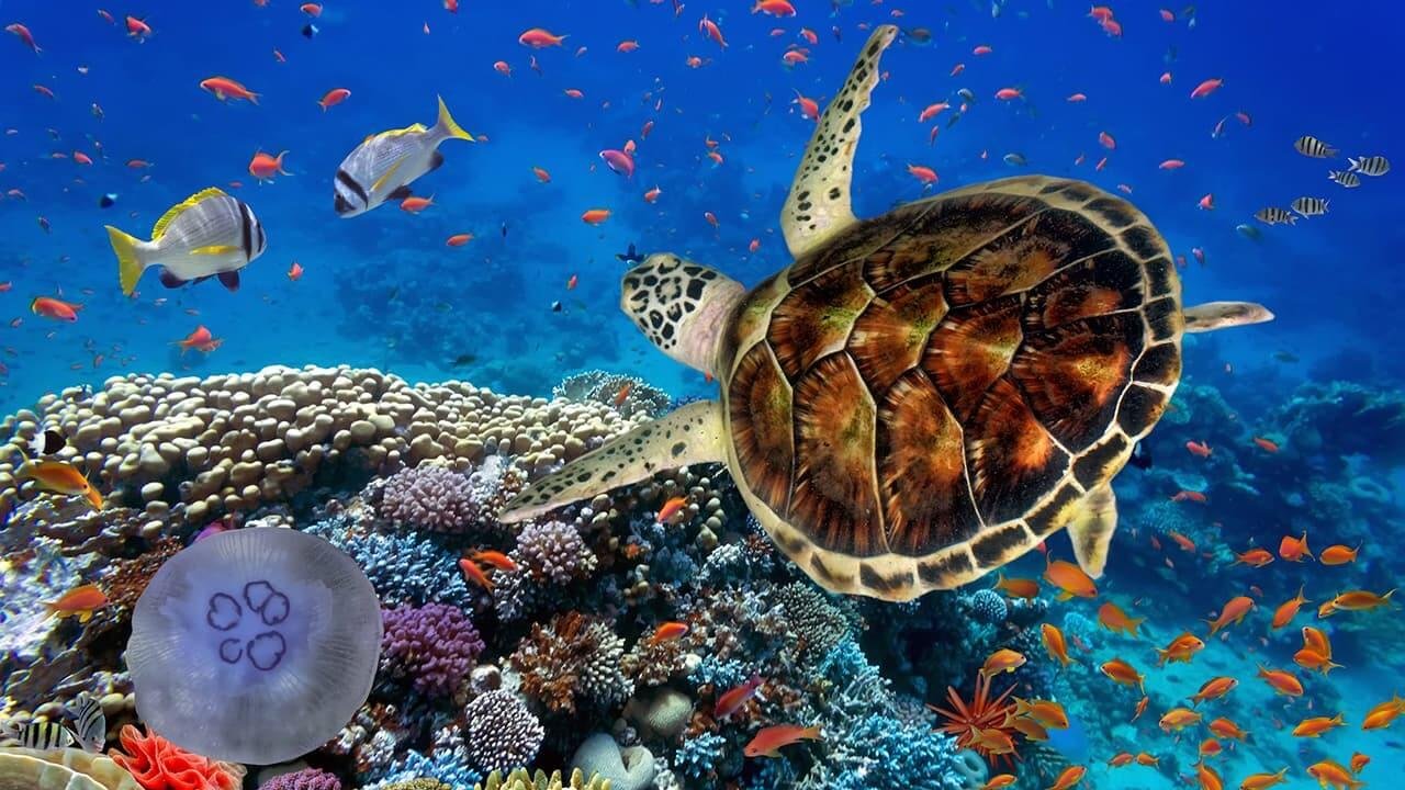 Марса Алам (Єгипет)